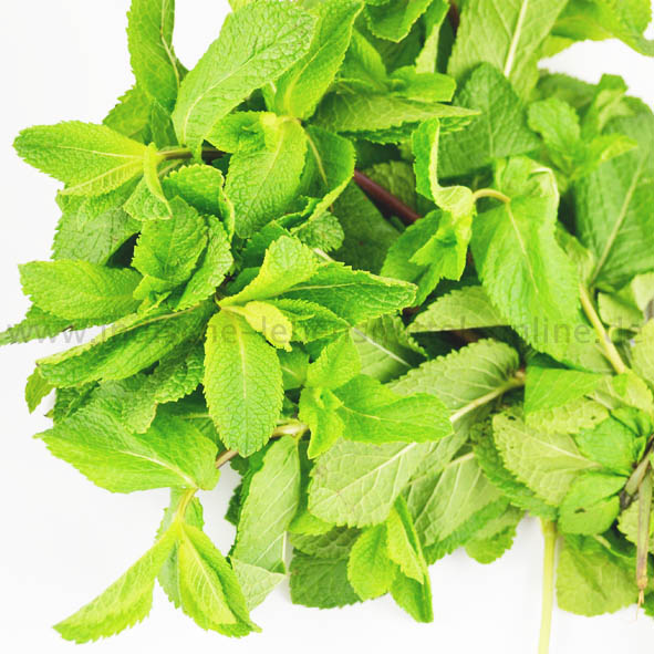 Minze, frisch, Mint Leaves, Pudina, 50g Minze, frisch, Mint Leaves, Pudina, 50g