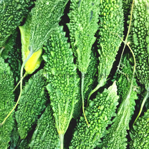 Bittermelone, frisch, Bitter Gourd, Karela, Paakharkaai, 100g Bittermelone, frisch, Bitter Gourd, Karela, Paakharkaai, 100g